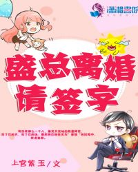 盛总离婚请签字章节列表