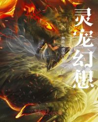 灵宠幻想章节列表