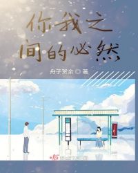你我之间的必然章节列表