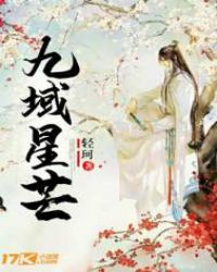 九域星芒章节列表