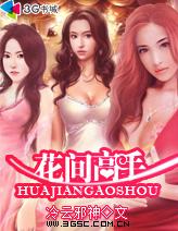 天才高手在都市章节列表