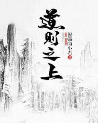 道则之上章节列表