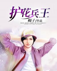 护花兵王章节列表