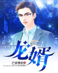 龙婿章节列表