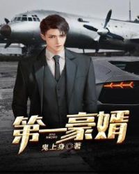 第一豪婿章节列表