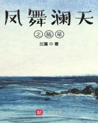 凤舞澜天之随笔章节列表