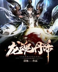 龙魂丹帝章节列表