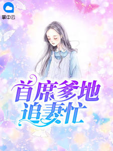 首席爹地追妻忙章节列表
