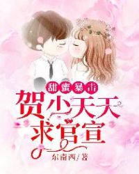 甜蜜暴击：贺少天天求官宣章节列表