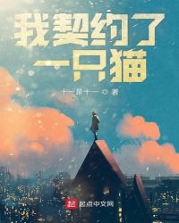 我契约了一只猫章节列表