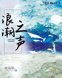 浪潮之声章节列表