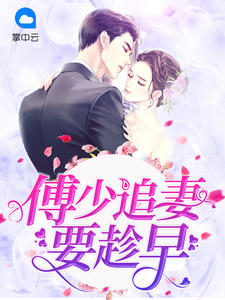 季南初傅时漠章节列表