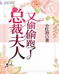 总裁夫人又偷偷跑了章节列表