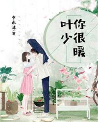 叶少，你很暖章节列表