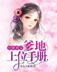 空降萌宝：爹地上位手册章节列表