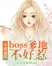 全球通缉：boss爹地不好惹章节列表
