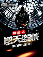 网游之逆天盗贼章节列表