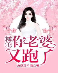 陆少，你老婆又跑了！章节列表