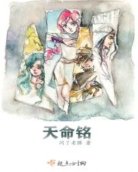 天命铭章节列表