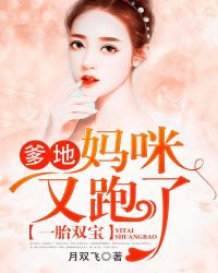 一胎双宝：爹地，妈咪又跑了章节列表