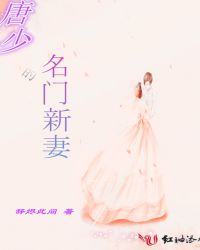 唐少的名门新妻章节列表