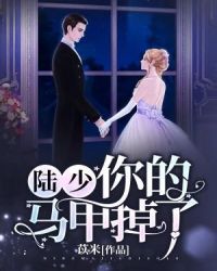 陆少，你的马甲掉了章节列表