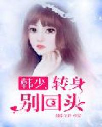 韩少，转身别回头章节列表