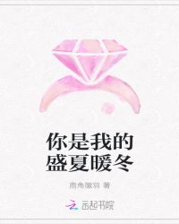 你是我的盛夏暖冬章节列表