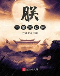 朕不是宋钦宗章节列表