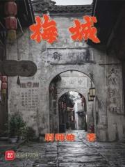 梅城章节列表