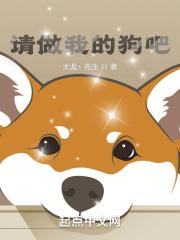 请做我的伙伴吧章节列表