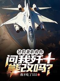 暑假兼职被抓，问我歼十能改吗？章节列表