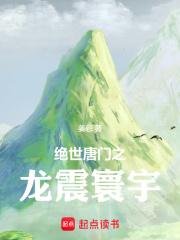 绝世唐门之龙震寰宇章节列表