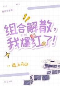 组合解散，我爆红了！章节列表