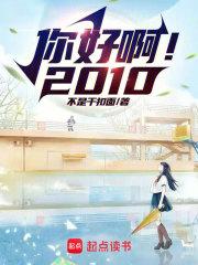 你好啊！2010章节列表