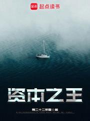 资本之王章节列表