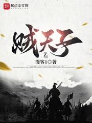 贼天子章节列表