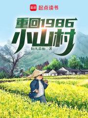 重回1986小山村章节列表