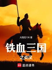 铁血三国之炎汉章节列表