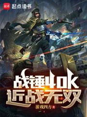 战锤40k：近战无双章节列表