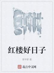 红楼好日子章节列表