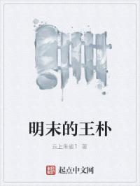 明末的王朴章节列表