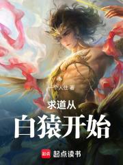 求道从白猿开始章节列表