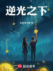 逆光之下章节列表