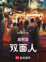 美利坚双面人章节列表