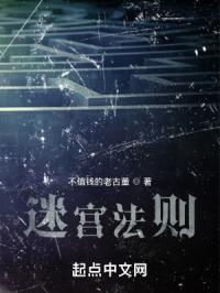 迷宫法则章节列表