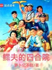 鳏夫的四合院章节列表