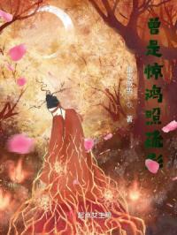 曾是惊鸿照疏影章节列表