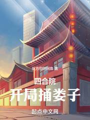四合院：开局捅娄子章节列表