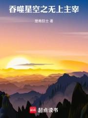 吞噬星空之无上主宰章节列表